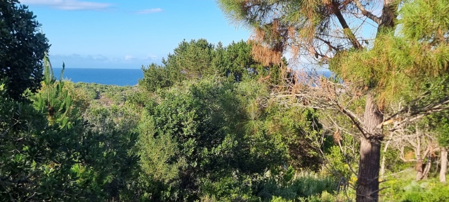 Commercial Property for Sale in Langvlei Dunes Western Cape